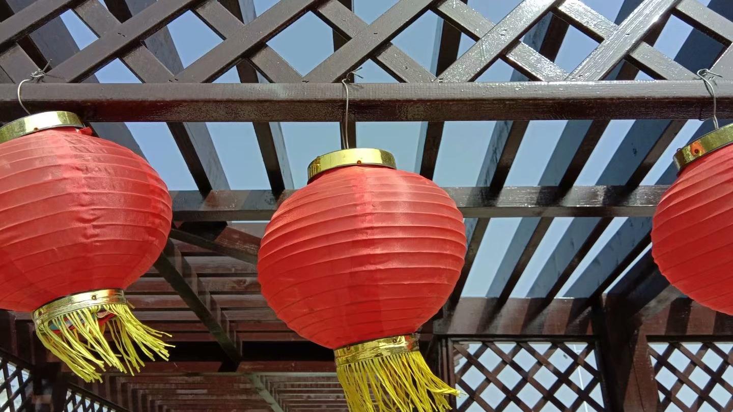 |我和富婆结婚以后的日子