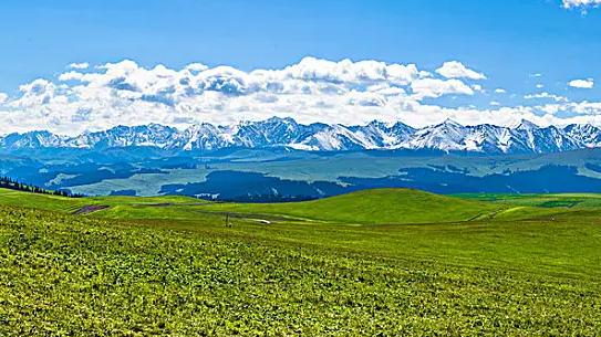 几个世纪以来，经常被忽视的草原建立了生物多样性和复原力