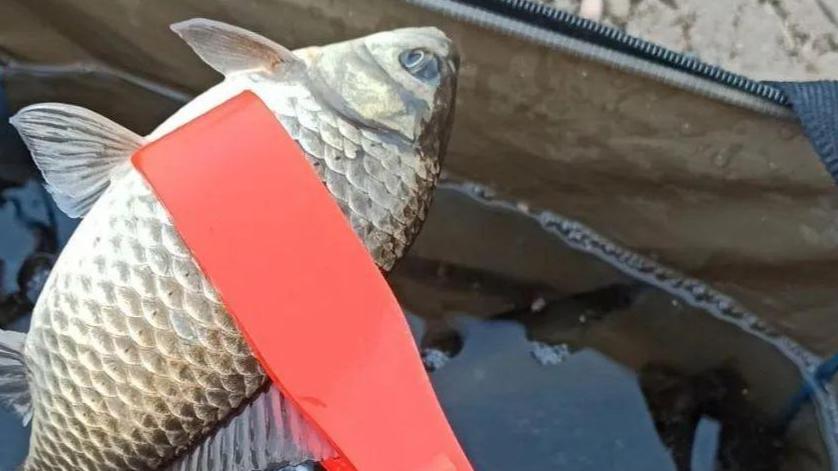 机器|买了就后悔的5种钓具