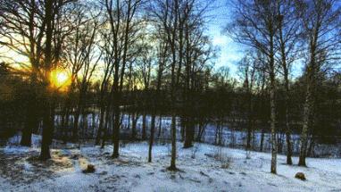 4维空间：德国数学家真的证明了吗？进入4维空间后会发生何事？