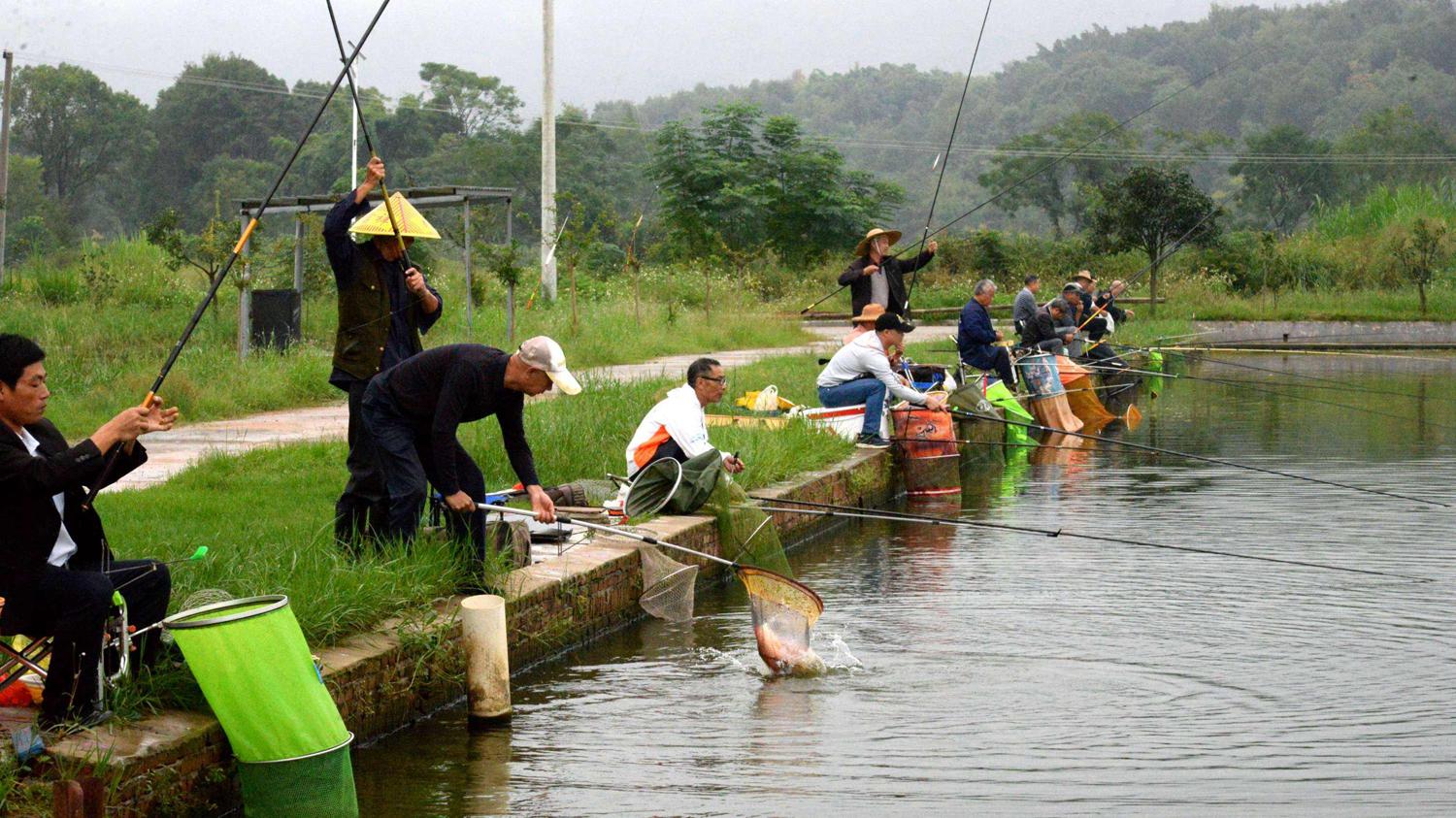 饵料|一次钓不好鱼，一直钓不好鱼，一辈子都钓不好鱼，是什么原因？