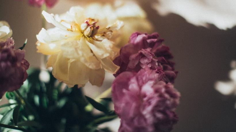 |容易被人低估的三大星座，实则很有能力，不是只会吹牛