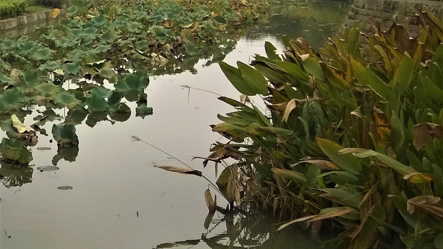 求职|职场做事，少点犹豫