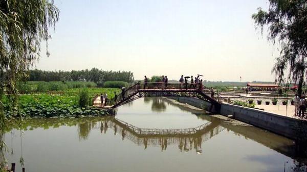 南京|A级景区说之保定安新白洋淀