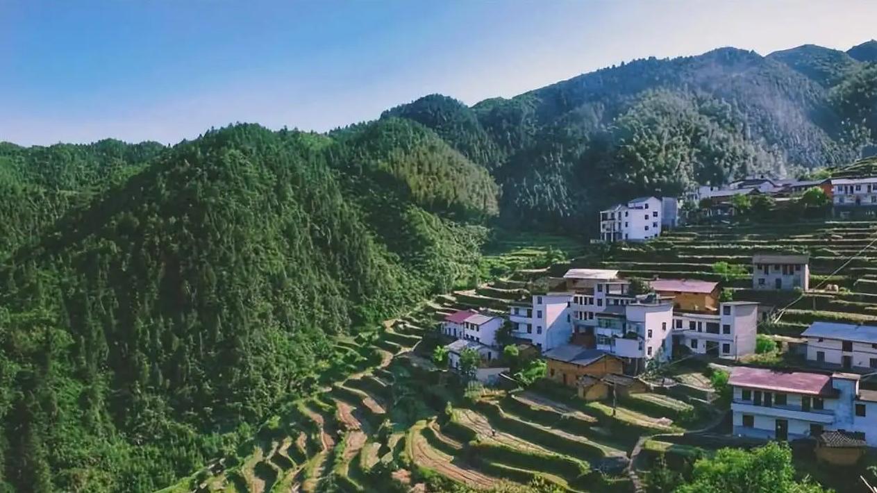 昆明|落英缤纷的季节，不就适合外出旅游吗？这个春天去哪看看呢