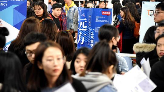 hr|大公司HR揭露求职内幕：不招“三无家庭”的本科生，残酷又现实