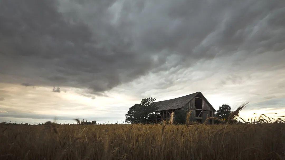 梅兰芳|喜欢把“谢谢”挂在嘴边的，往往就3种人！