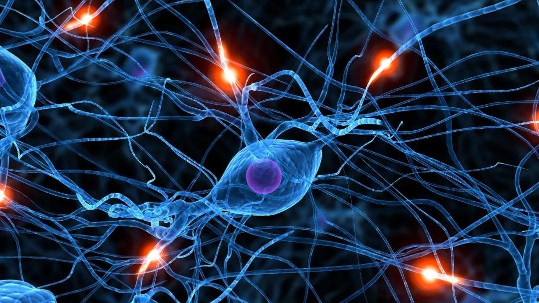 深夜emo不睡危害很大！《科学》：尽快改正，睡觉才能恢复好心情