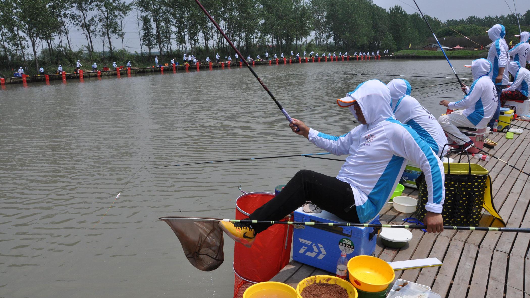 |在肥水鱼塘中怎么钓鱼？钓肥水鱼塘的技巧，钓法和鱼饵的关键点