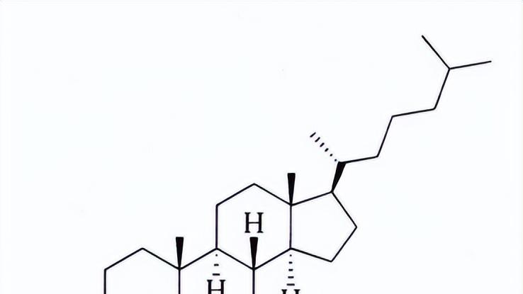 实验室LC-MS/MS液相色谱串联质谱检测血清胆固醇及代谢物含量