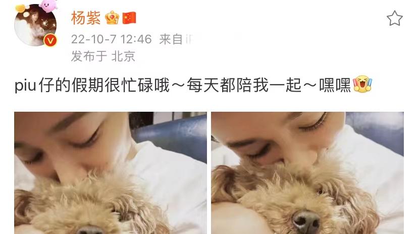 杨紫|杨紫真恋爱了？刘学义疑跟张予曦分手，杨紫晒出同款狗狗心情大好