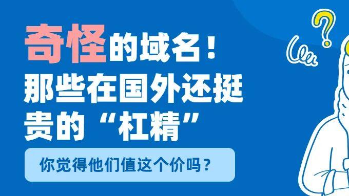 【奇怪的域名】那些在国外卖出超高价的“杠精”域名！