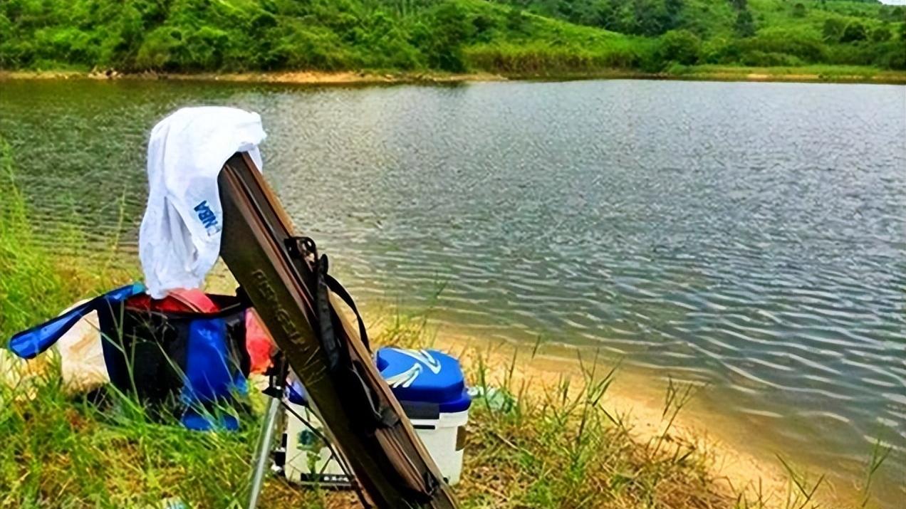 入伏|入伏前后也有钓鱼的窗口期，抓住时机，连竿上鱼依然值得期待