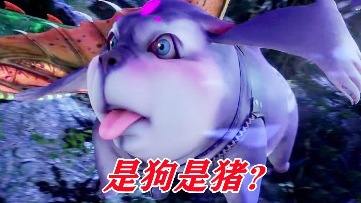 玉小刚|玉小刚为何只收天才学生？不是他恃才傲物，而是对武魂体会太深