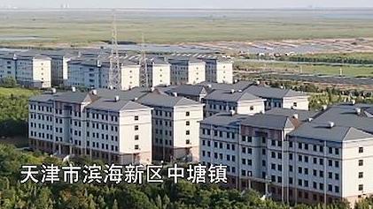 墓地骨灰盒位太贵，我把我爹存到银行保险箱，违法吗？