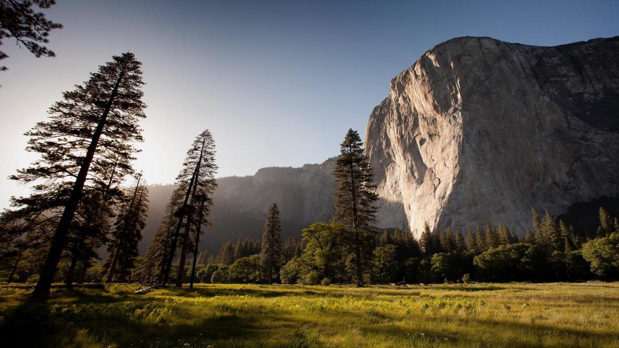 |职场中的领导，说话办事直接，容易得罪人