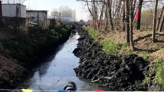 男子花1000万买下没人要的臭水沟，然而几年后，却靠水沟年赚上亿