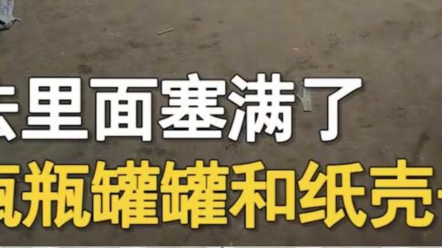 男子开百万豪车帮母亲卖废品，废品塞满车厢，网友赞：孝心比油贵