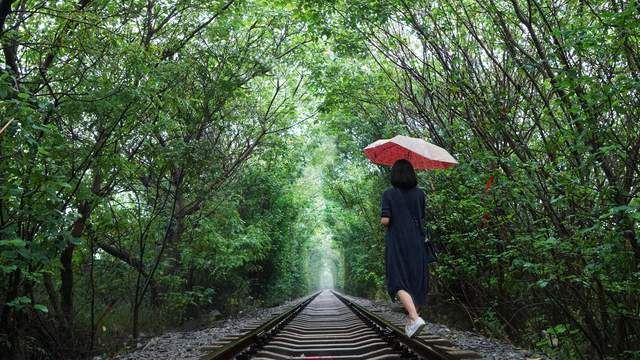 舒淇|其实，那些看着有“味道”的女人，根本不是因为颜值好