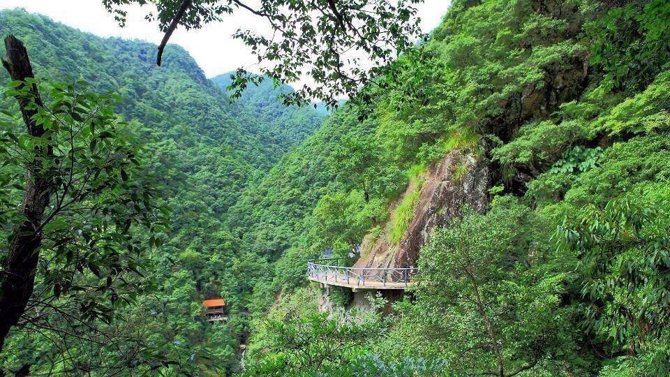 浙江省|浙江这个绝美秘境，拥有许多野生动物，由一个温州富商开发
