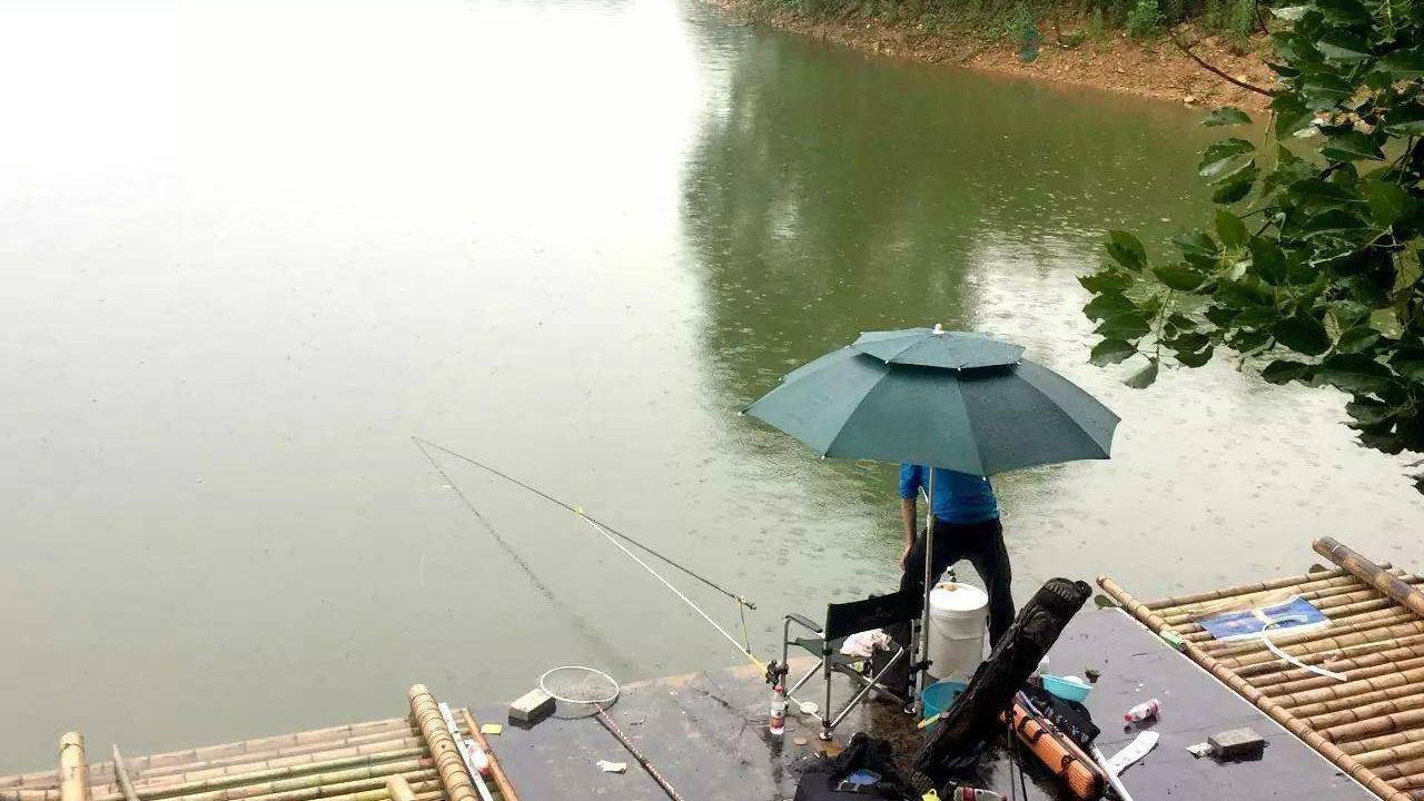 饵料|天热鲫鱼不开口，不要忙着更换钓饵，先试着这样做，鱼口说来就来