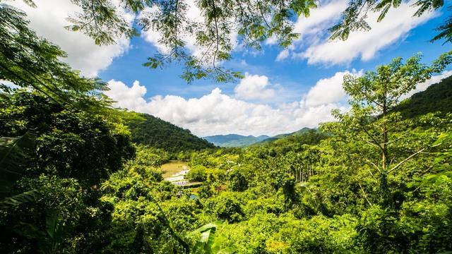 若进化论是对的，植物为什么不进化得很难吃？果实还是甜的？