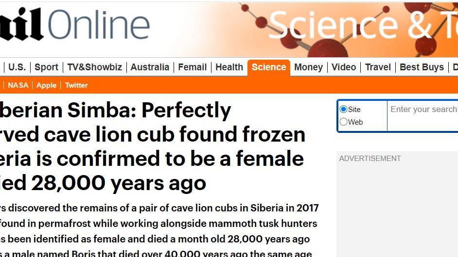 潘多拉魔盒开了？西伯利亚几年前的洞穴狮子尸体，死于28000年前