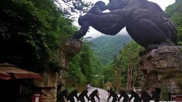 |为什么中国“神农架”深处不被允许前往？