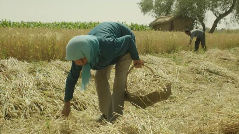 海清|看了《隐入尘烟》后，封神的不是海清，而是那位“没演技”的姨夫