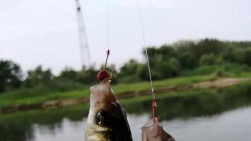 许多|钓鱼狠人郭伟东，因钓鱼与妻子离婚
