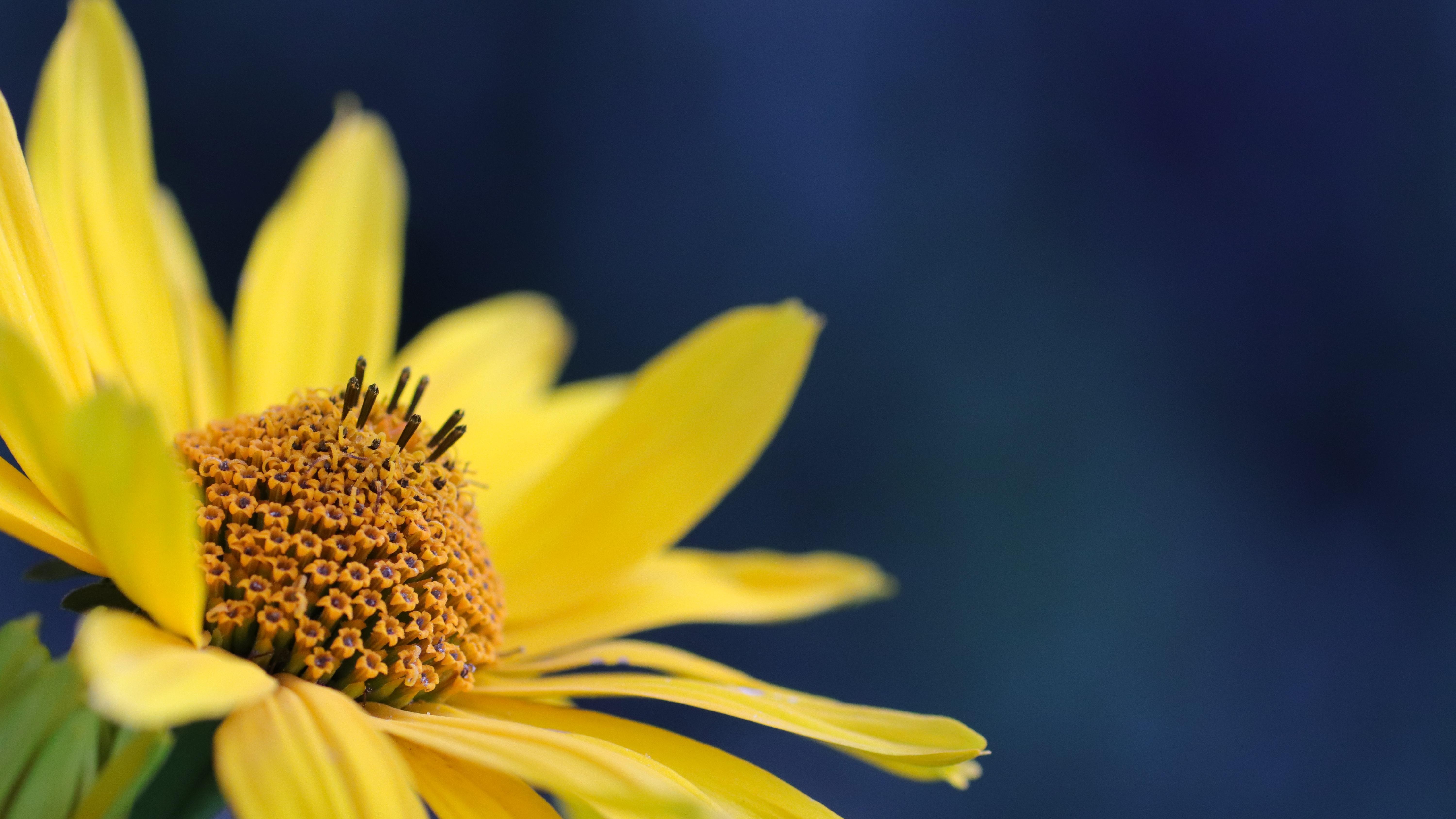 |加班越多你就越是无缘升职加薪！安于加班现状注定是劳碌的命