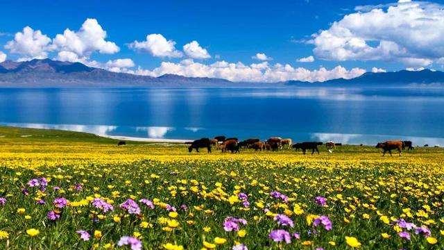 霜降|在我国广袤的大西北，拥有数不胜数的古老的民族民风，特别是现在的青海高原，游牧民