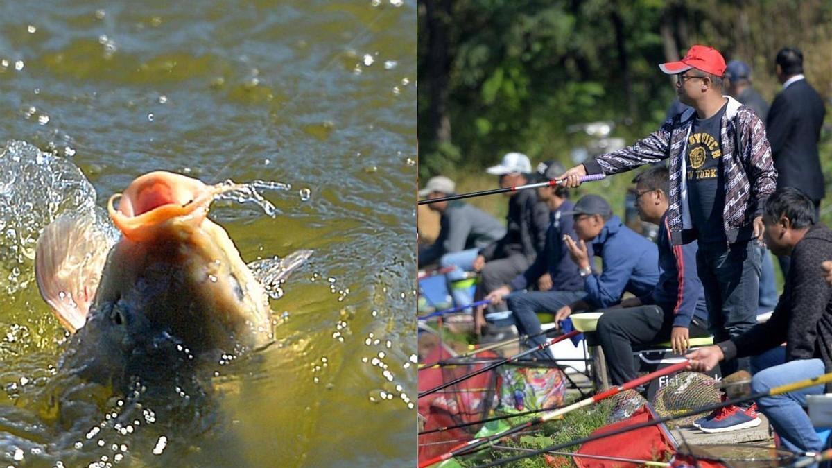 饵料|如何在鱼塘钓大鱼？这三个方法告诉你，老钓手都拍手叫好
