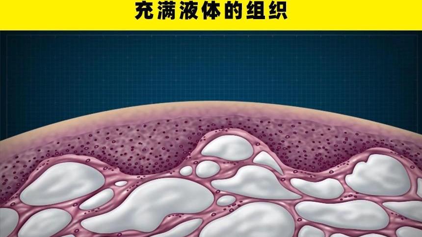 人体新发现：近些年来，科学家们所发现的7个新的身体部位