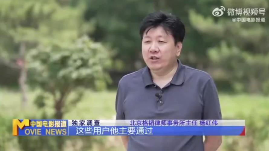 盗版|CCTV6就视频网站盗版播放管控采访格韬律师事务所主任杨红伟