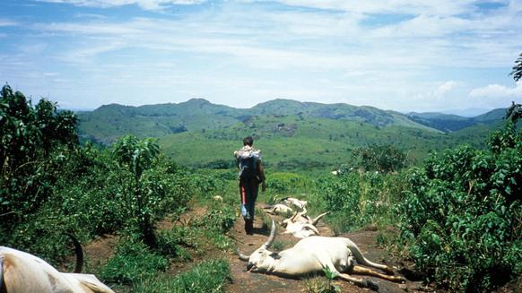 30年前的湖泊爆炸瞬间杀死上千人，现在危险依然存在……