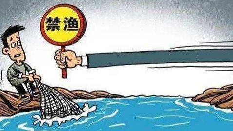 消博会|男子垂钓藐视渔政船，直接玩起了躲猫猫，网友：他有底气