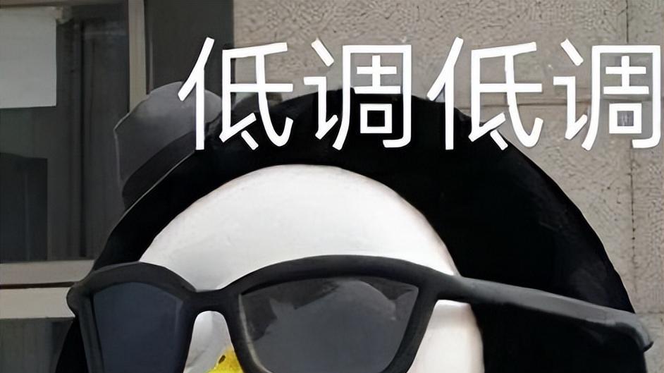 护发素 被“洋货”打压的3款国货，明明便宜又实用，自己人却不知道！