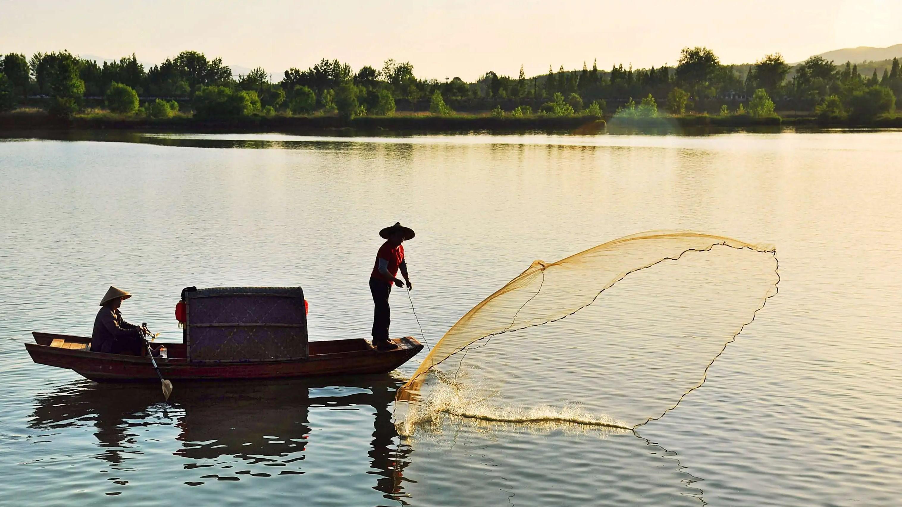 端午节|端午节不能去钓鱼和捕鱼？民间流传，这天是水族的节日