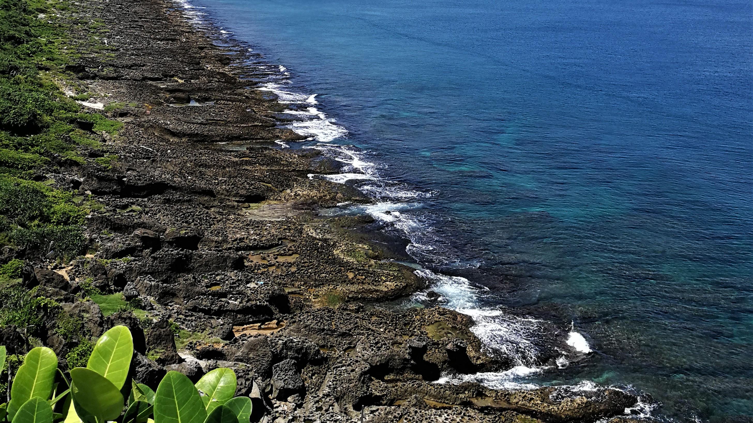 ktv|关于职场站队这件事