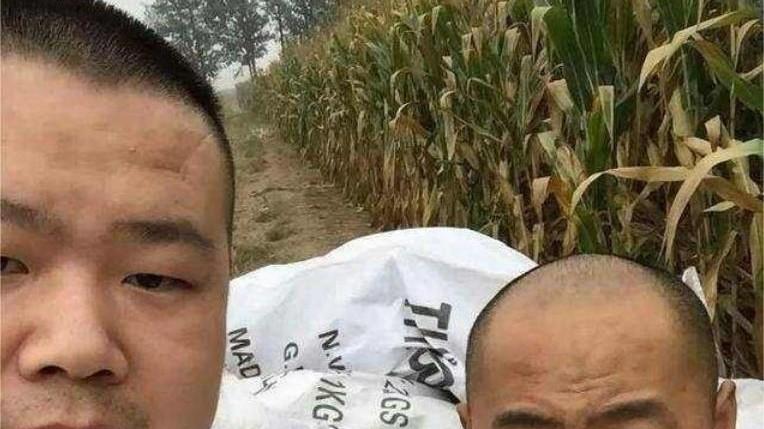 岳云鹏|岳云鹏发迹后，对在农村的弟弟说：我给你三条路！你选一个