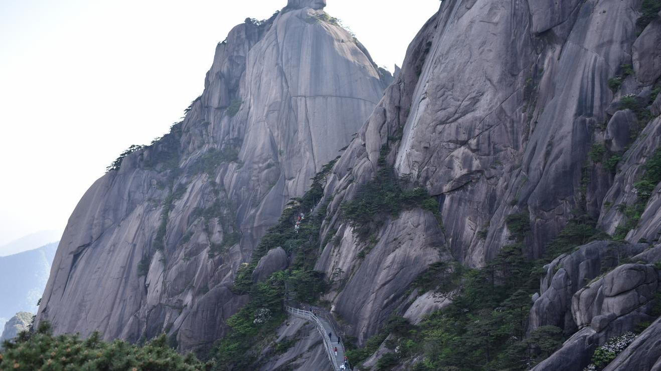 黄山风景区|安徽黄山景区今年最大变量，游客人数暴涨