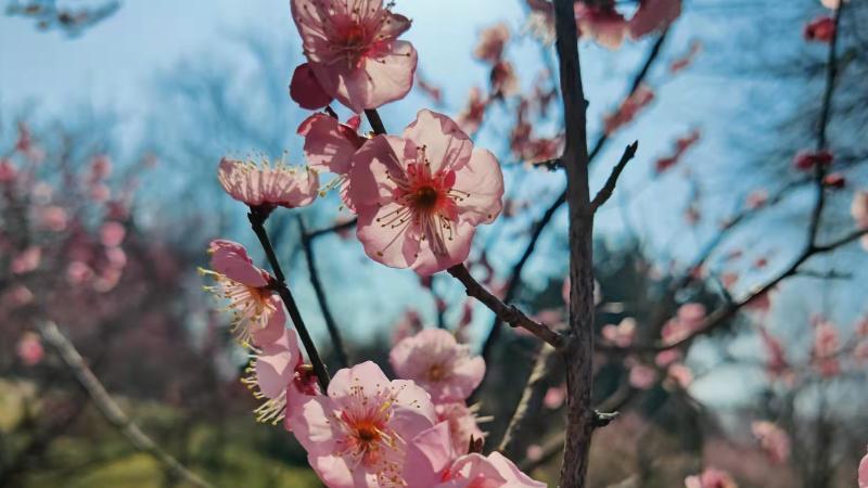 招聘|为什么人越长大越孤单？