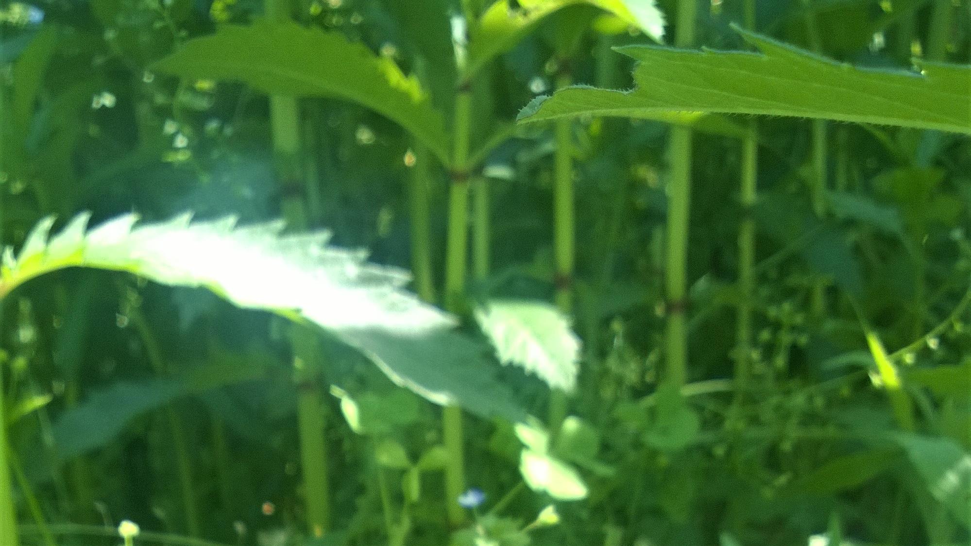 |职场有话，不妨直说