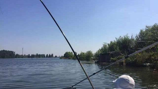 广东省|哪个省份钓友最幸福？他们闷声钓大鱼真的爽爆了