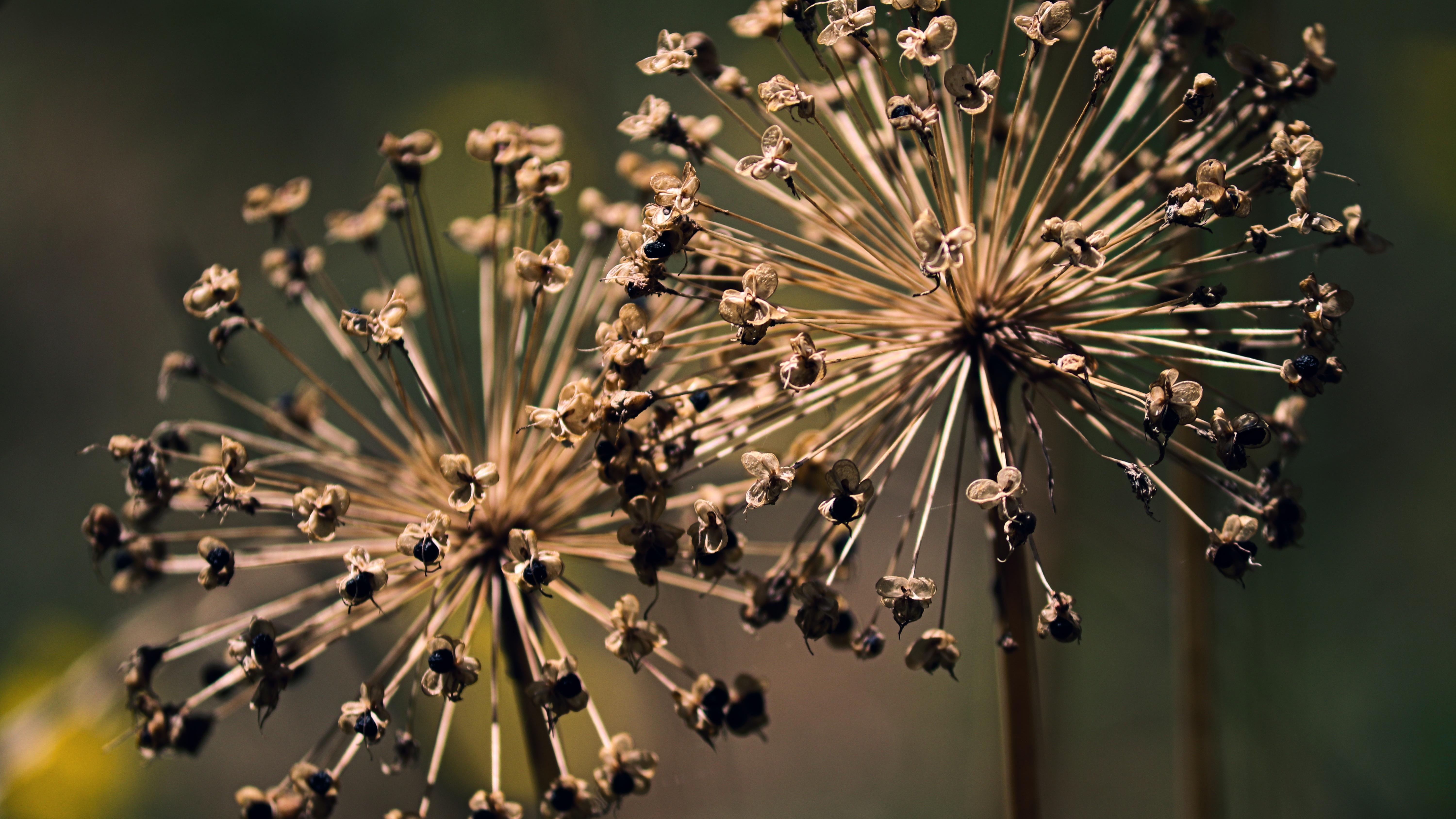 经典|还在卖命傻干活？职场高手秘而不传的10条潜规则，助你走向上坡路