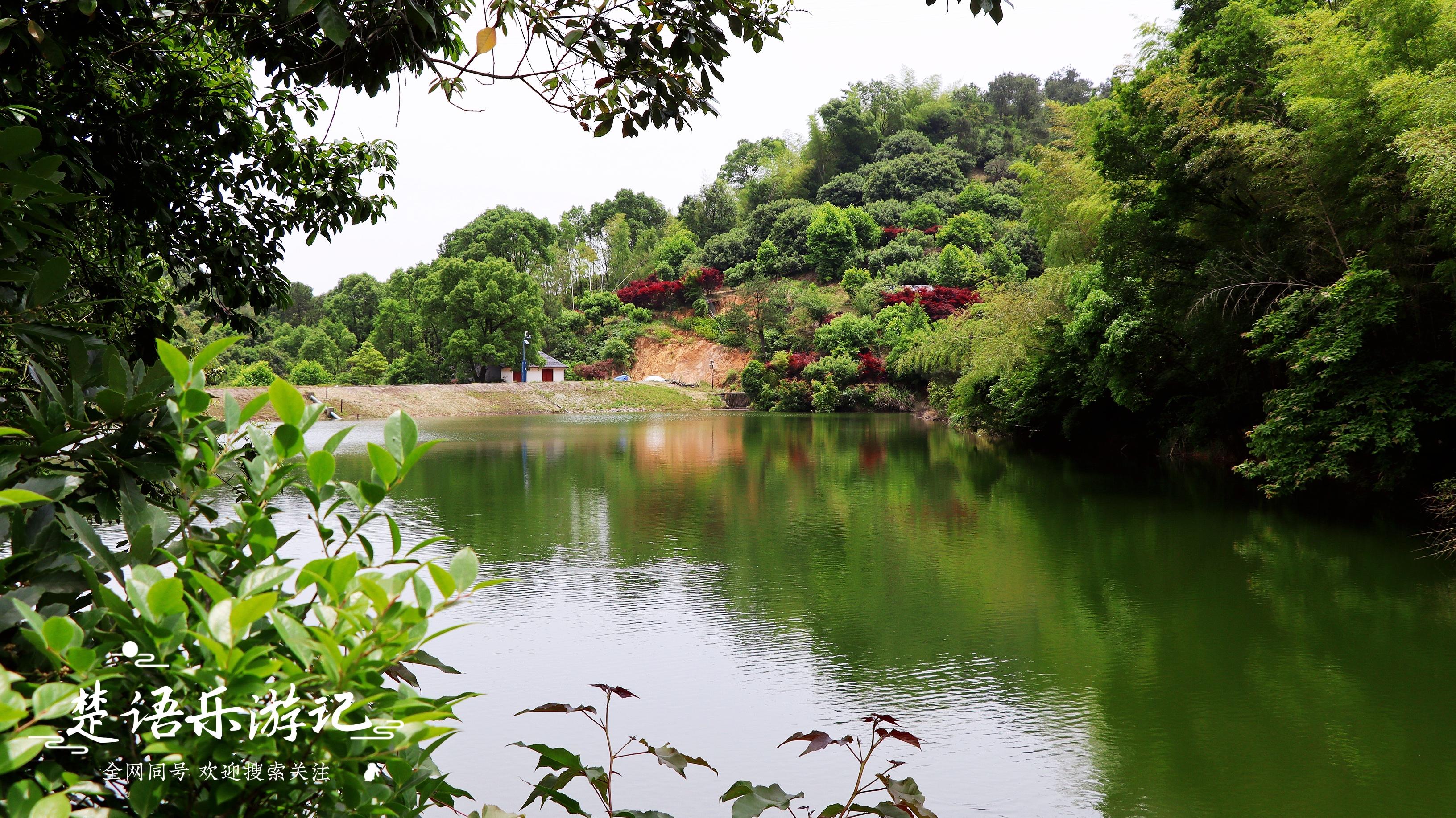 杨梅|浙江这里因盛产杨梅而得名，不仅有神奇的传说，还有美丽的风景