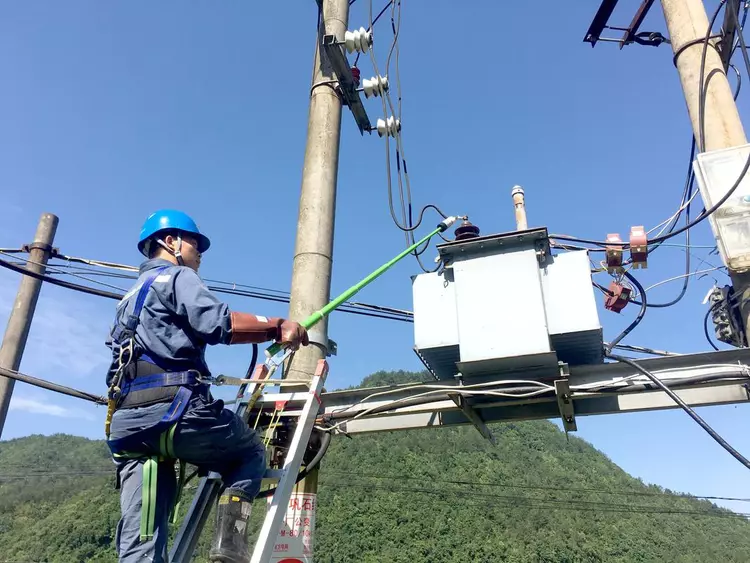 2020年，浙江小伙捡到1只奇怪甲虫，两天后网友出价31万都不肯卖