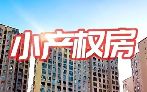 湛江|网友花60万购买的小产权房要被确权给原房东，房子可能要没了