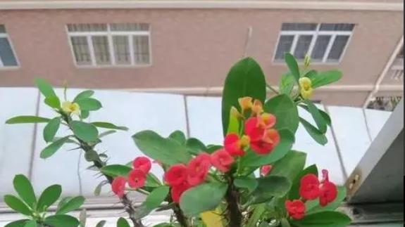 龙吟师傅：婚房要注意的三大事项